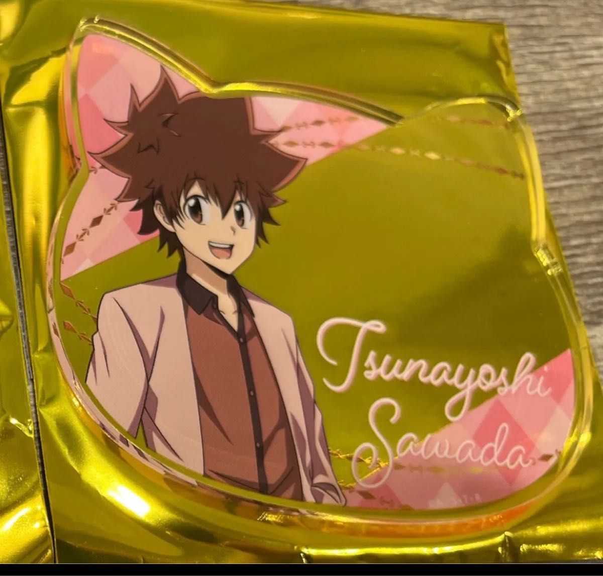 家庭教師ヒットマンREBORN! 天野明展 全巻ピンズセット 家庭教師