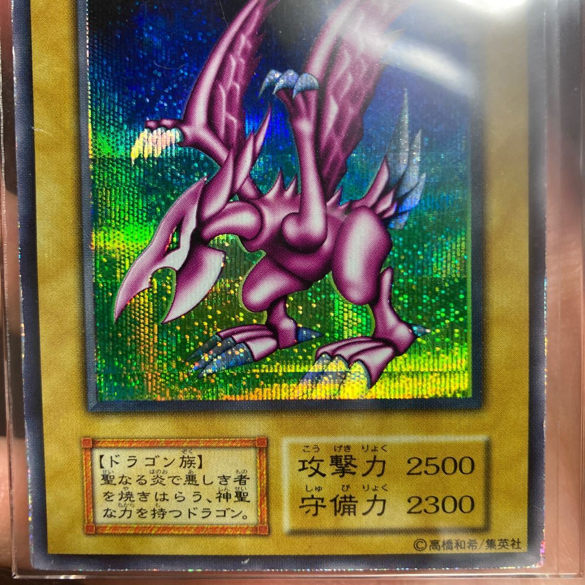 遊戯王 ホーリー•ナイトドラゴン 初期 シークレット 美品 確実本物