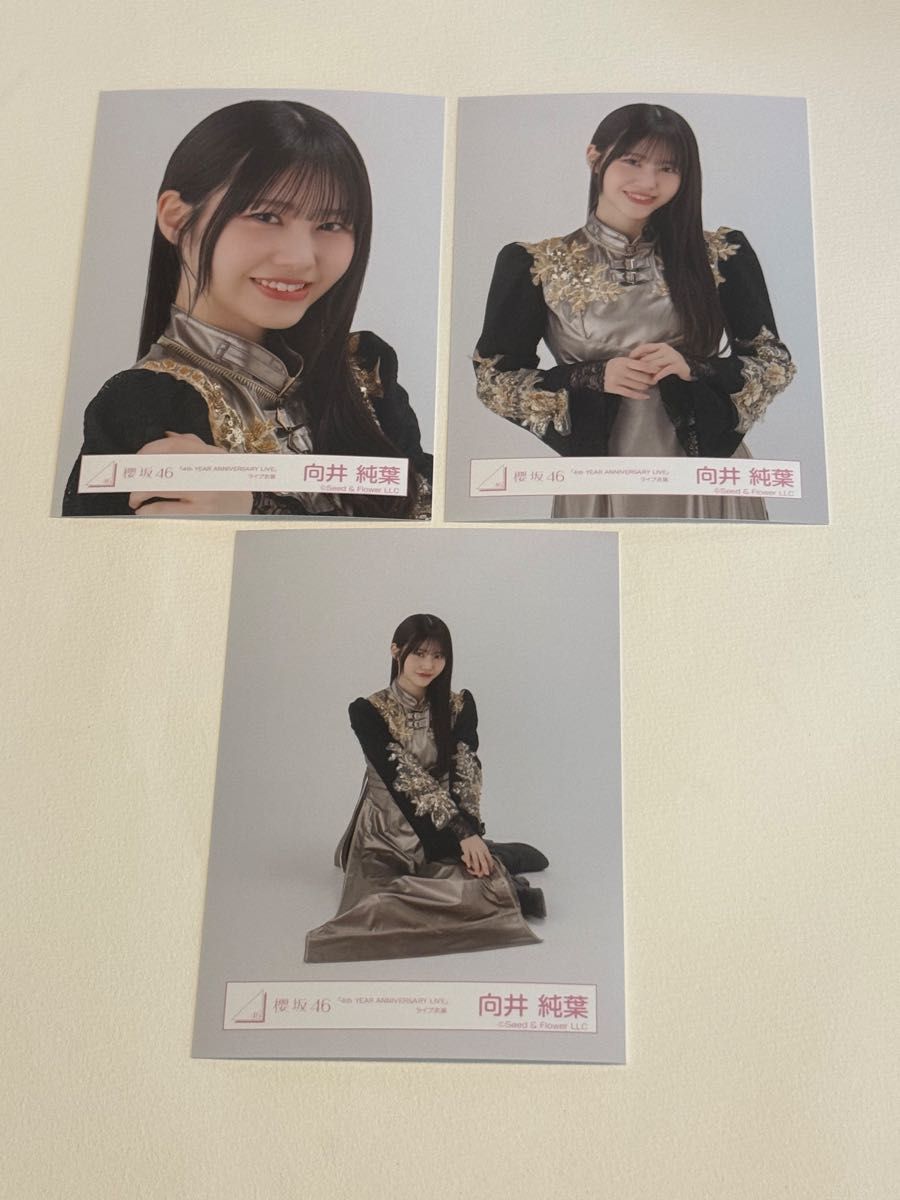 櫻坂46 生写真 ANNIVERSARY ライブ衣装 直筆サイン 井上梨名 櫻坂46