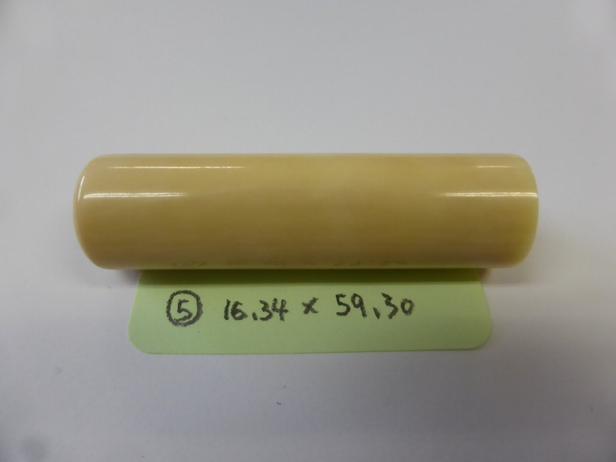 鯨歯 印材 鯨牙 希少20本セット 鯨歯 印材 鯨牙 希少20本セット 鯨歯