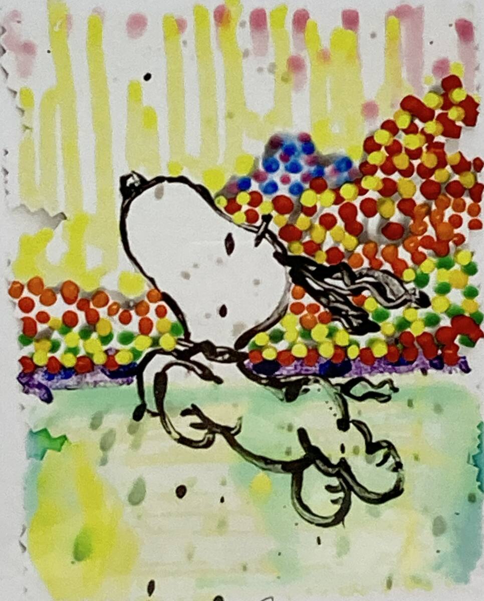 未開封 スヌーピー トムエバハート ジグソーパズル 108ピース 超希少