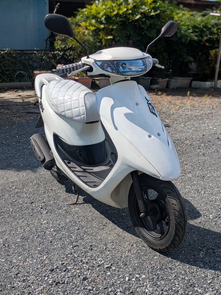 専用❣️ ライブディオZX仕様 クリアレンズ 新品エナメルシート