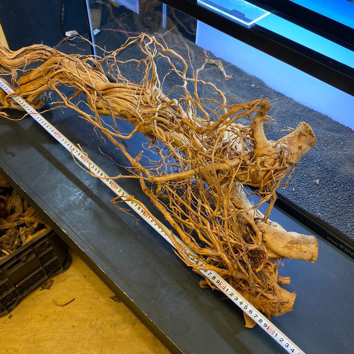 MTW-6352蔦流木1点物 アーチ流木 90cm以上水槽用流木 アクアリウム