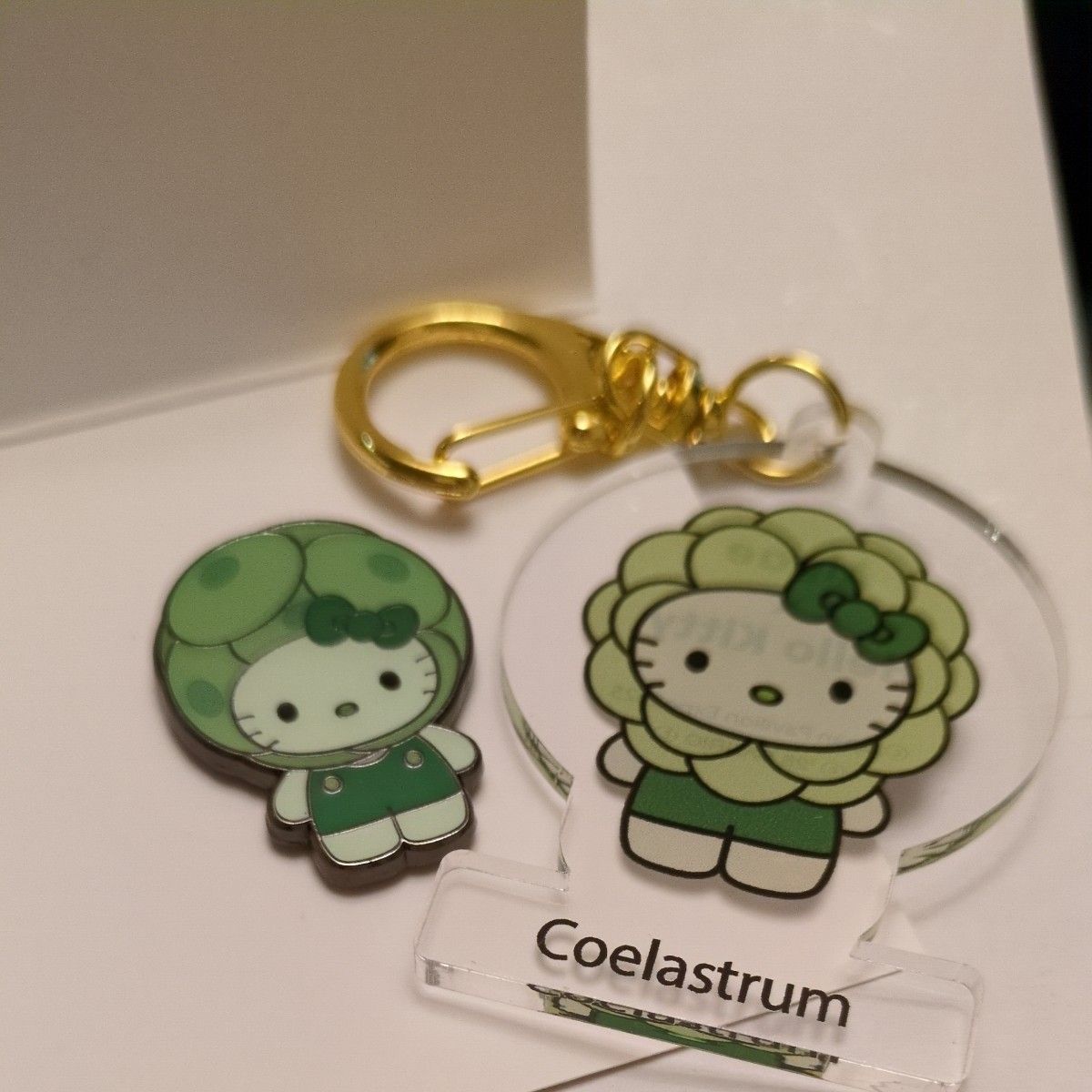 関西万博 日本館限定 キティちゃんピンバッジとキーホルダー｜Yahoo