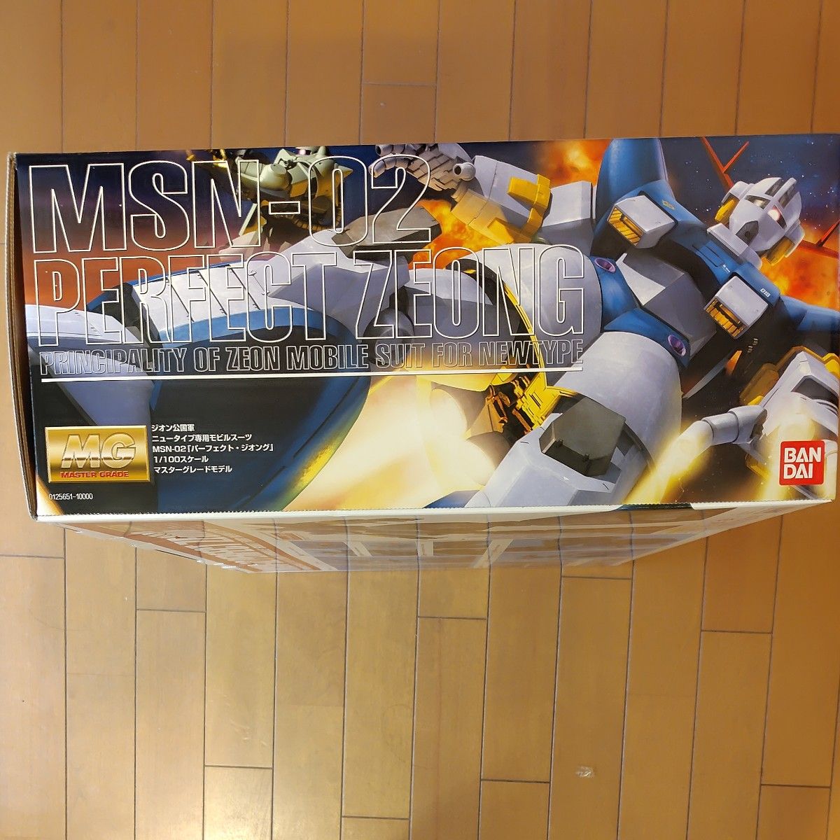 1円〜 MG 1/100 機動戦士ガンダム ジオング