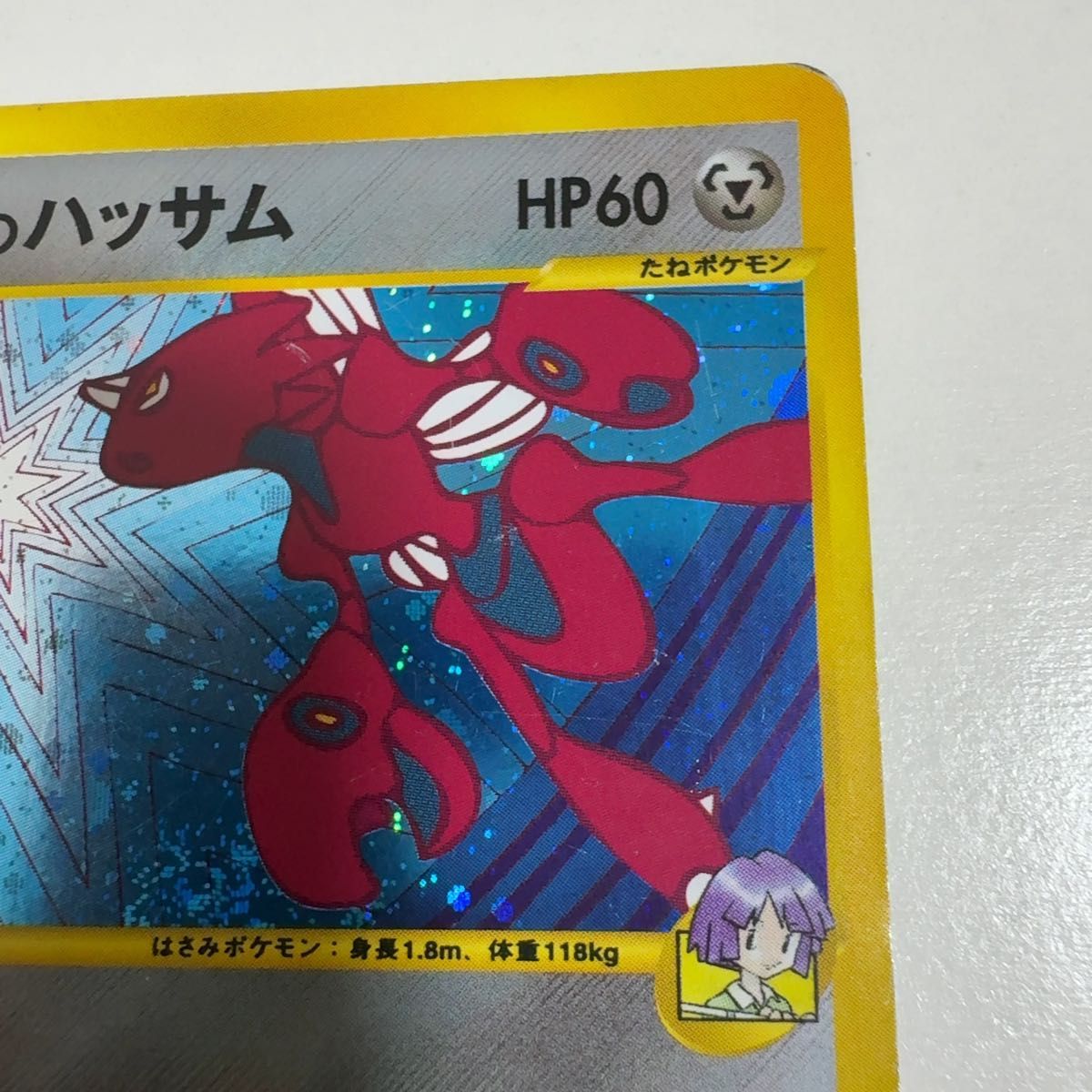ツクシのハッサム ☆ ポケモンカード☆VS 013/141 カードe eカード