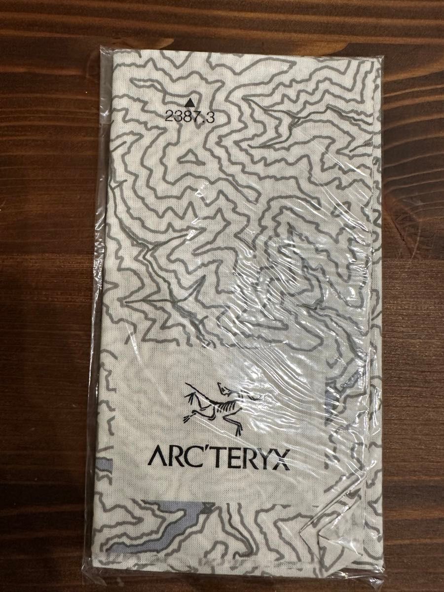 アークテリクス 手ぬぐい｜Yahoo!フリマ（旧PayPayフリマ）