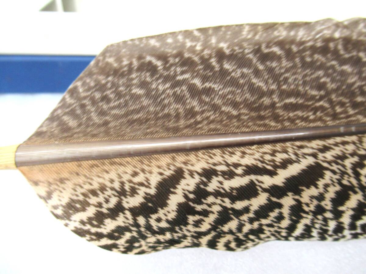 炉用羽箒 孔雀 茶道具 孔雀 茶道具 羽箒 1⁄4'' ホーム＆キッチン