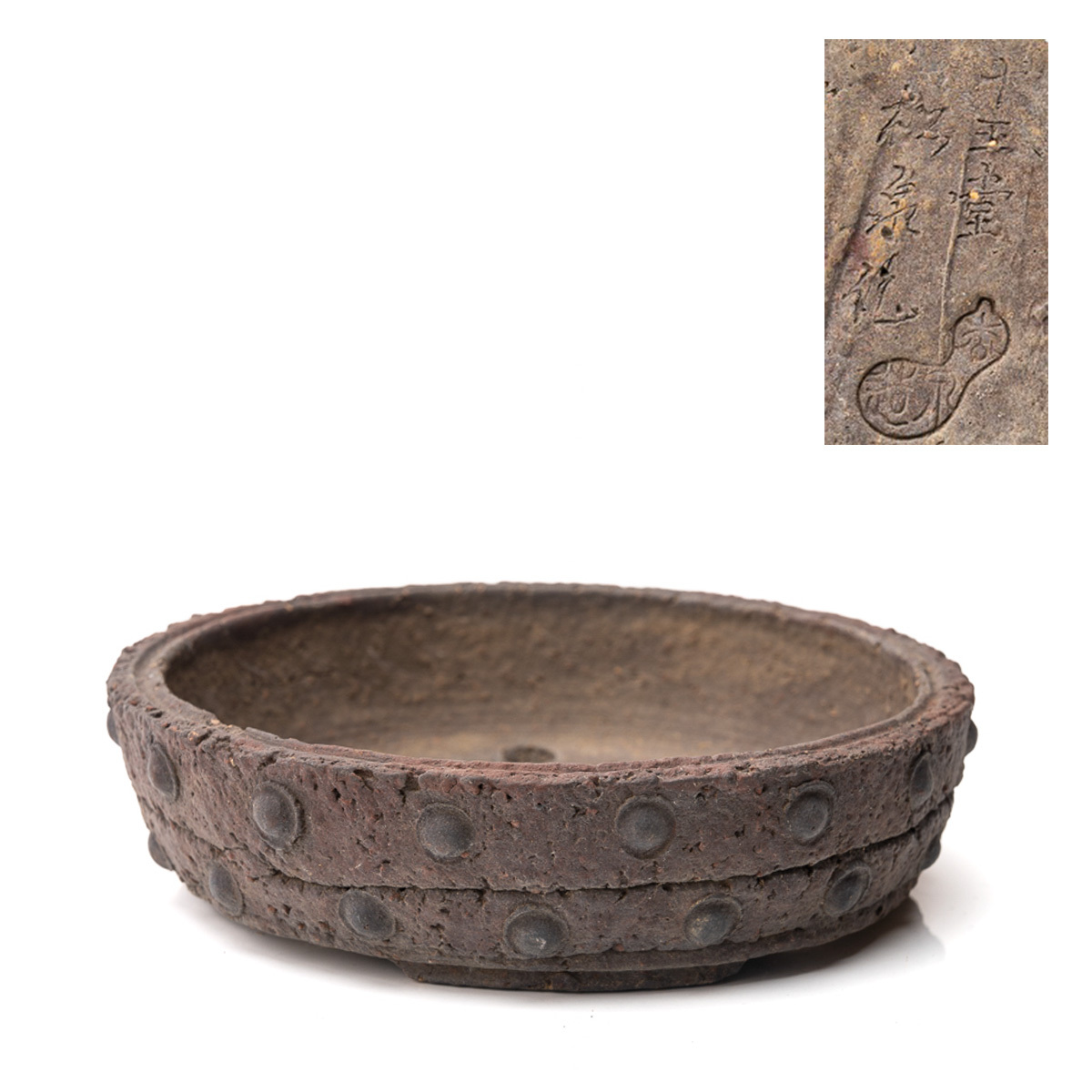 盆栽鉢 山秋 小松泉 小松泉 秋静庵 小品盆栽 山野草 小松