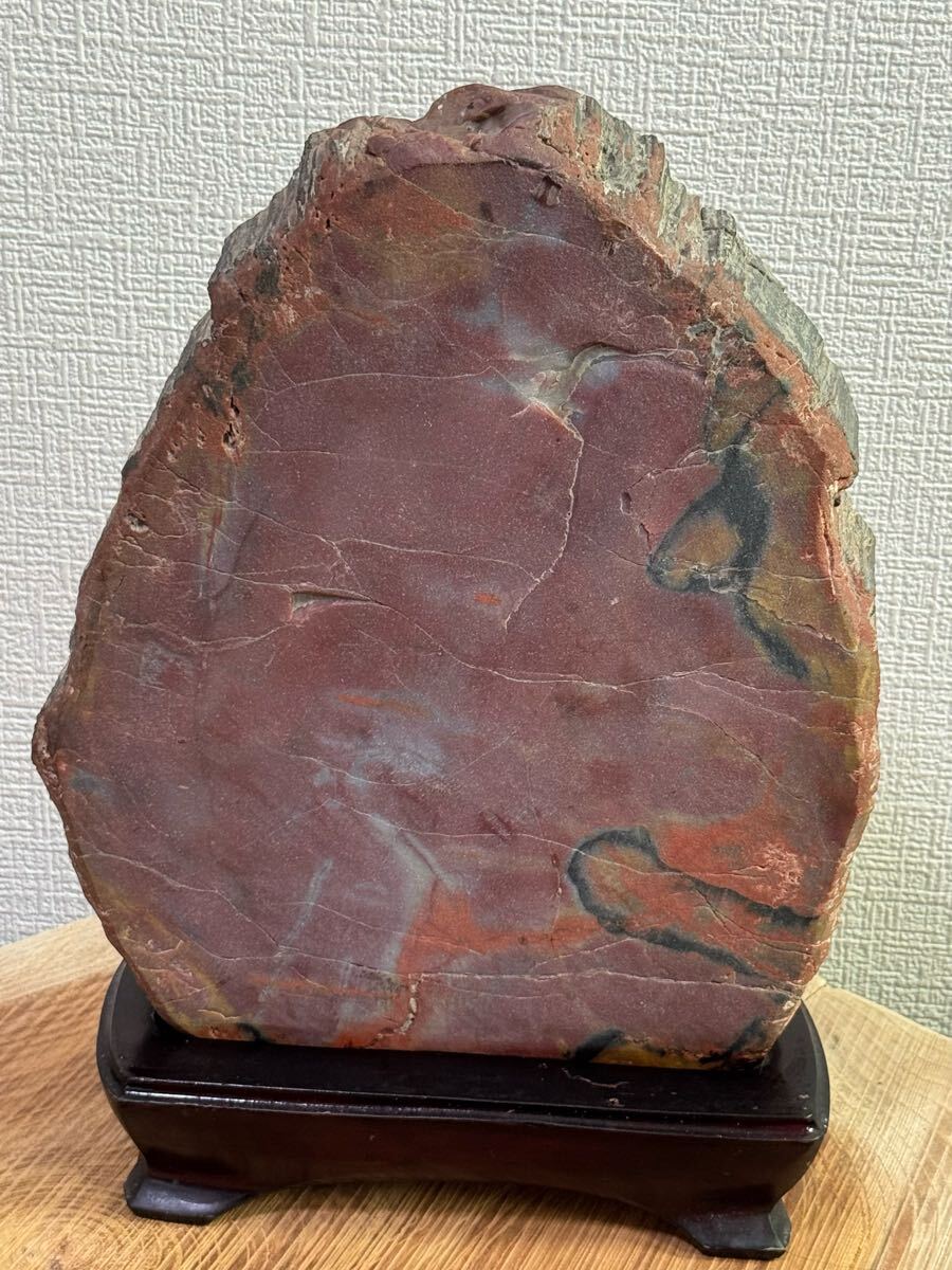 アリゾナ 珪化木 鑑賞石 赤石 赤玉石 木化石 錦石 天然石 五色石 鑑賞