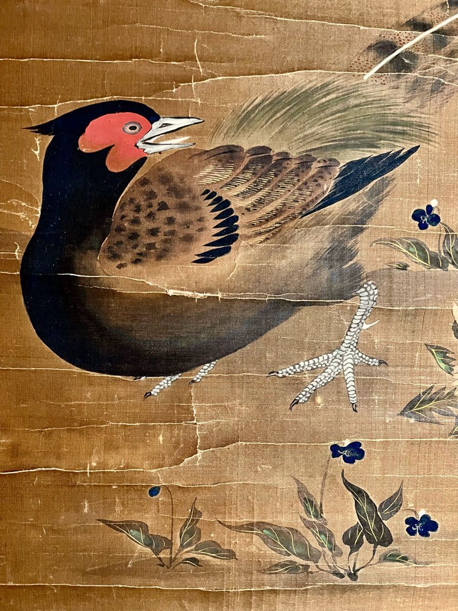 複製】工芸画 美品 絹本 酒井抱一「桜に雉子」掛軸 / 日本画花鳥M707