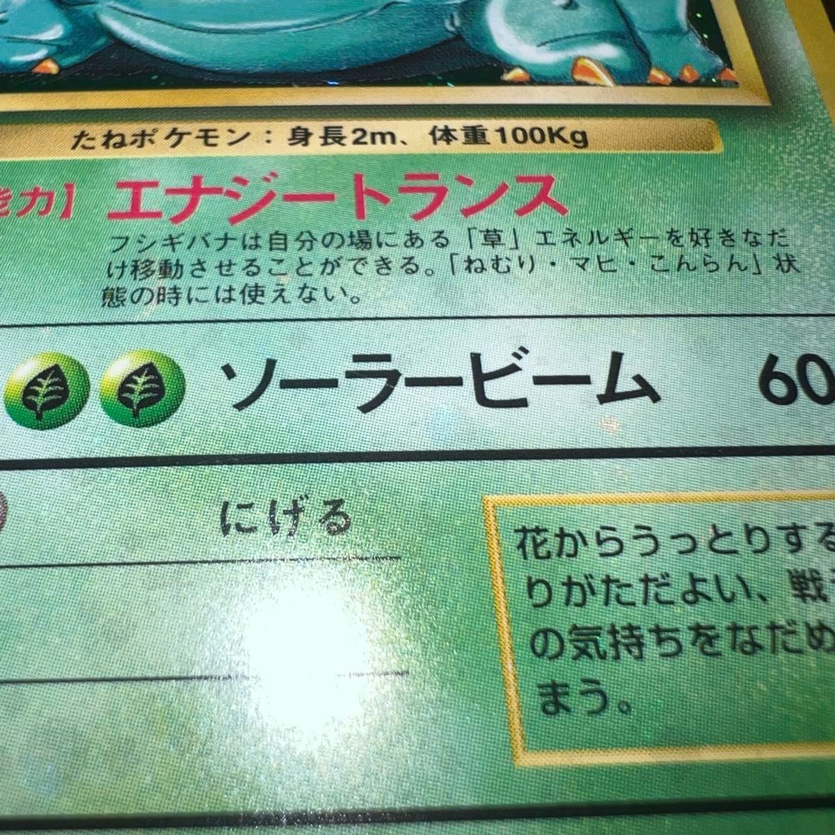 旧裏 全面ホロ】フシギバナ 第1弾拡張パック 全面ホロ 旧裏 フシギバナ