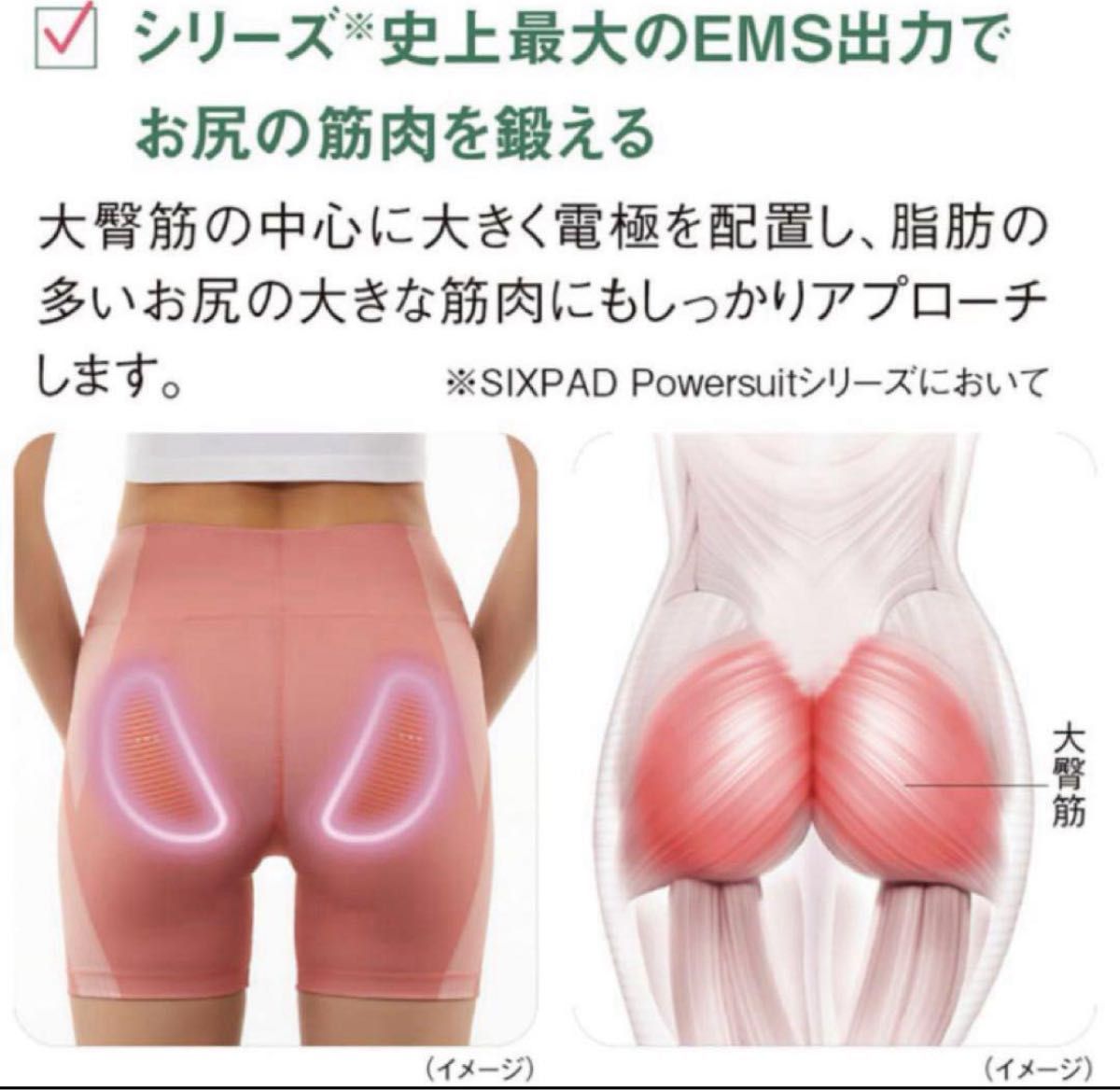 SIXPAD HipFit Mサイズ ヒップフィット シックスパッド ヒップフィット