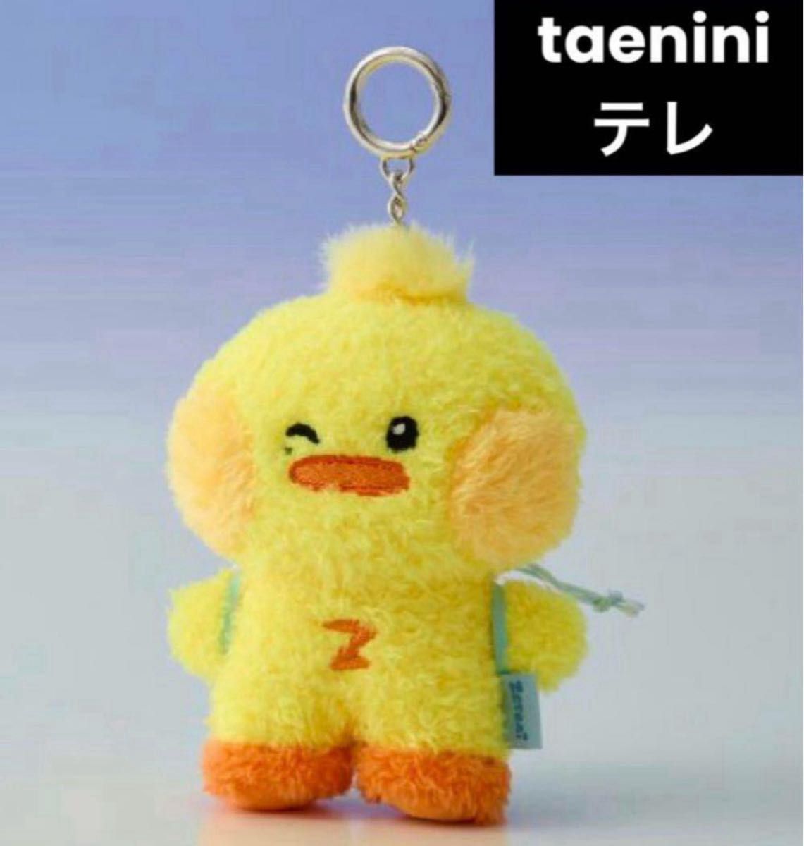 ZB1 ゼベワン テレtaenini テニニ zeroni メッセージぬいぐるみ