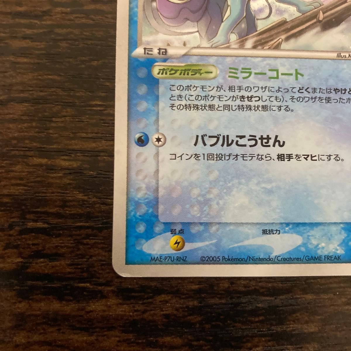 ポケモンカード 2005年ポケパーク限定 プレミアムファイル フォレスト