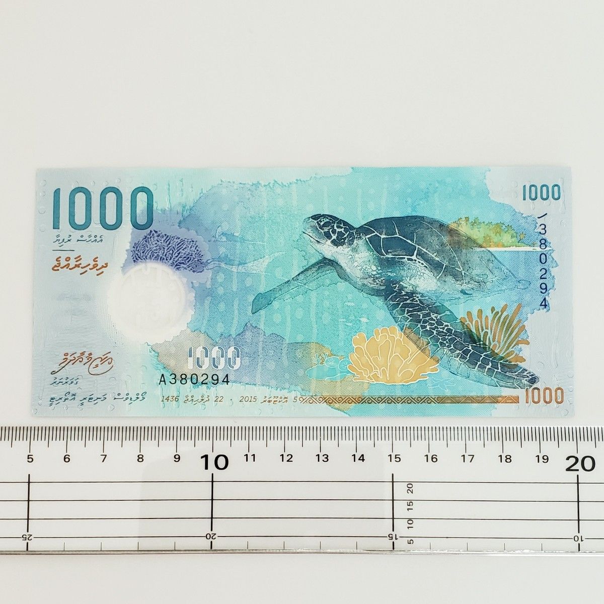 モルディブ 1000ルフィア（MVR）紙幣（海亀・ジンベイザメ