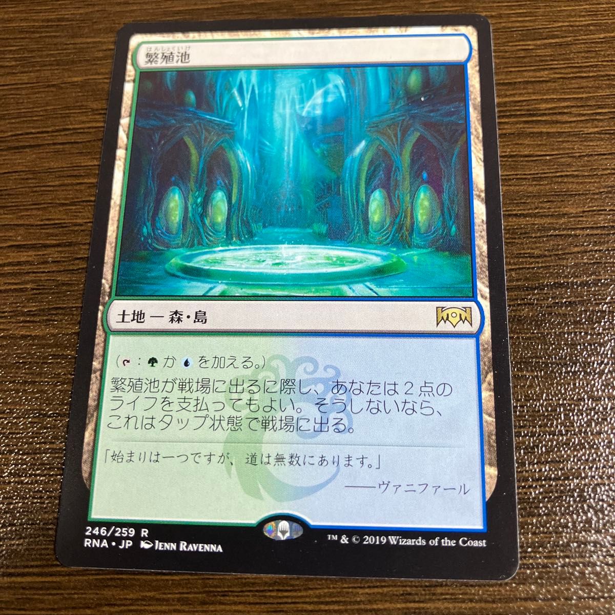 MTG ショックランド（ギルドランド）10種の10枚 セット 日本語版