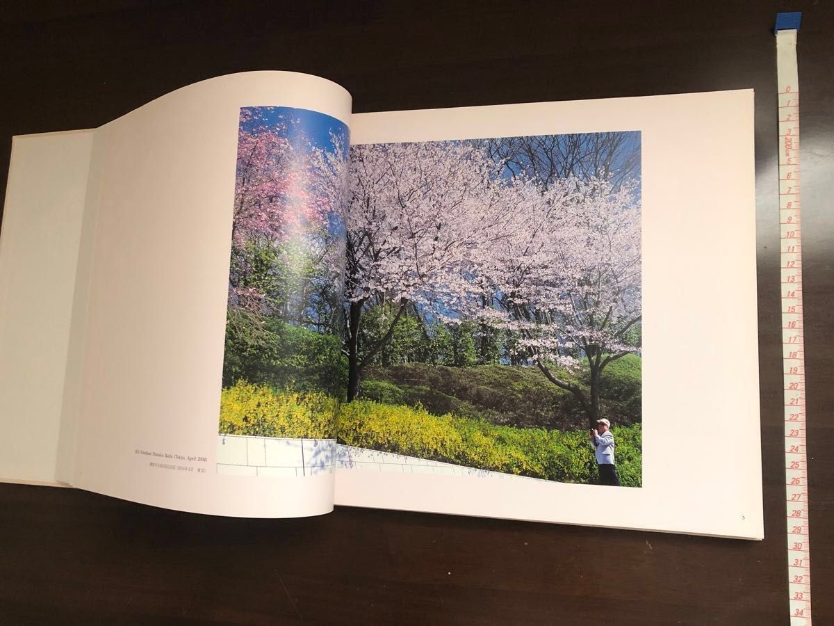 押印あり】【非売品】詩人の星 vol 4 創価学会 池田大作 写真集｜Yahoo
