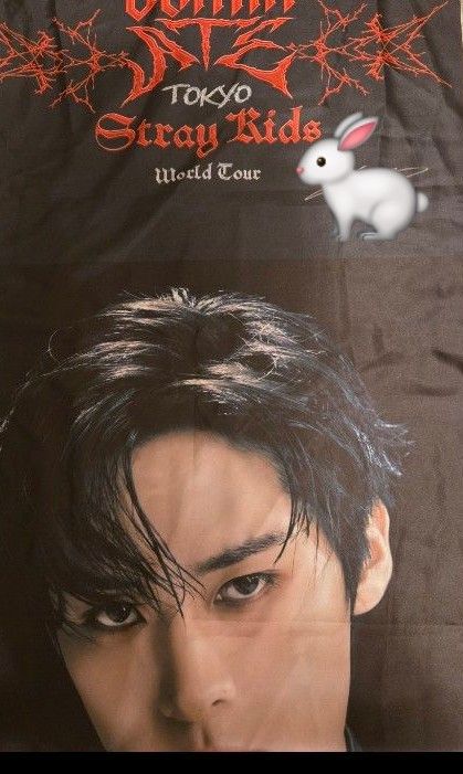 リノ サイン フラッグ スキズ 直筆サイン 2025年最新】straykids 直筆