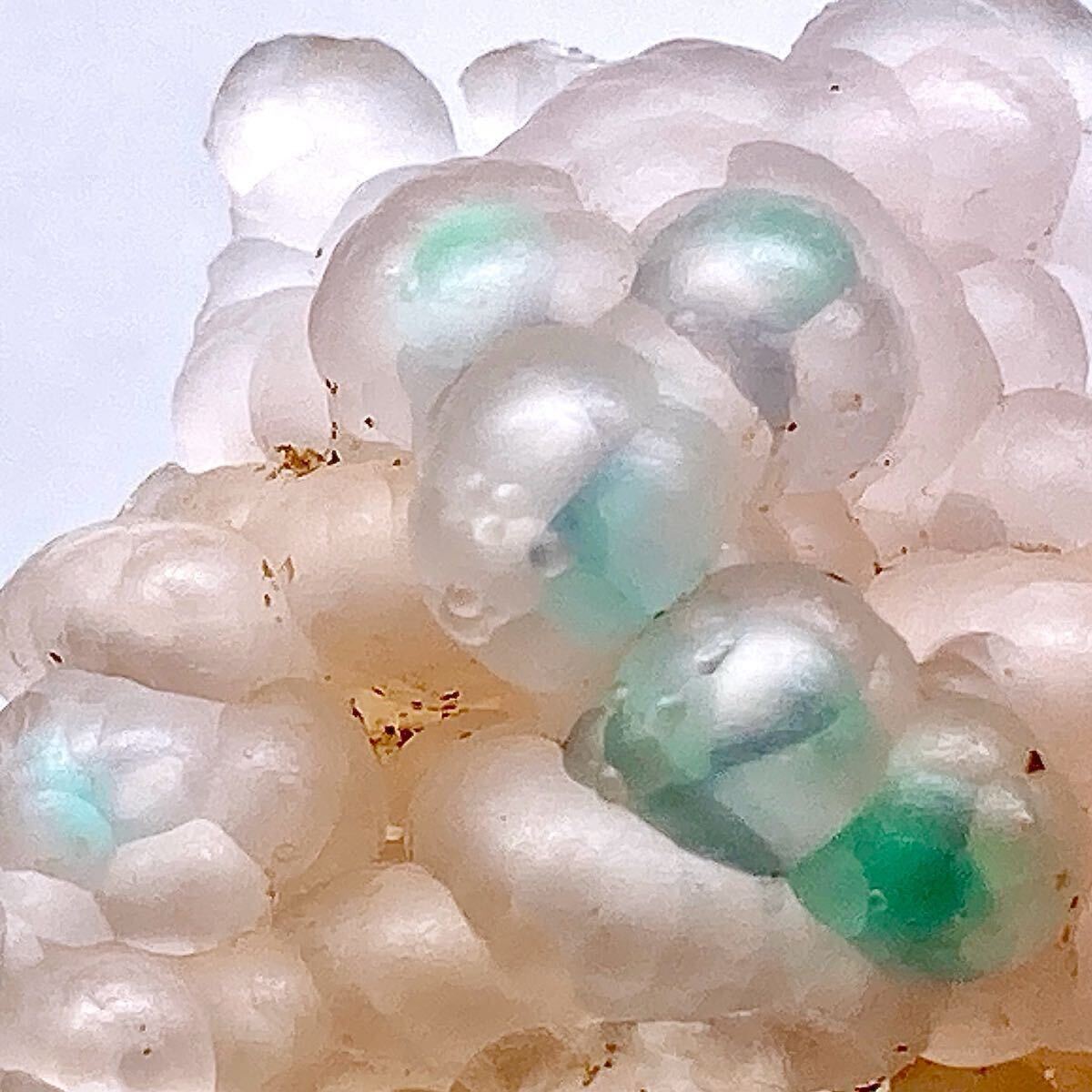 鳩*子様 『2022年発見』 クリソコラインカルセドニー 原石 鉱物標本