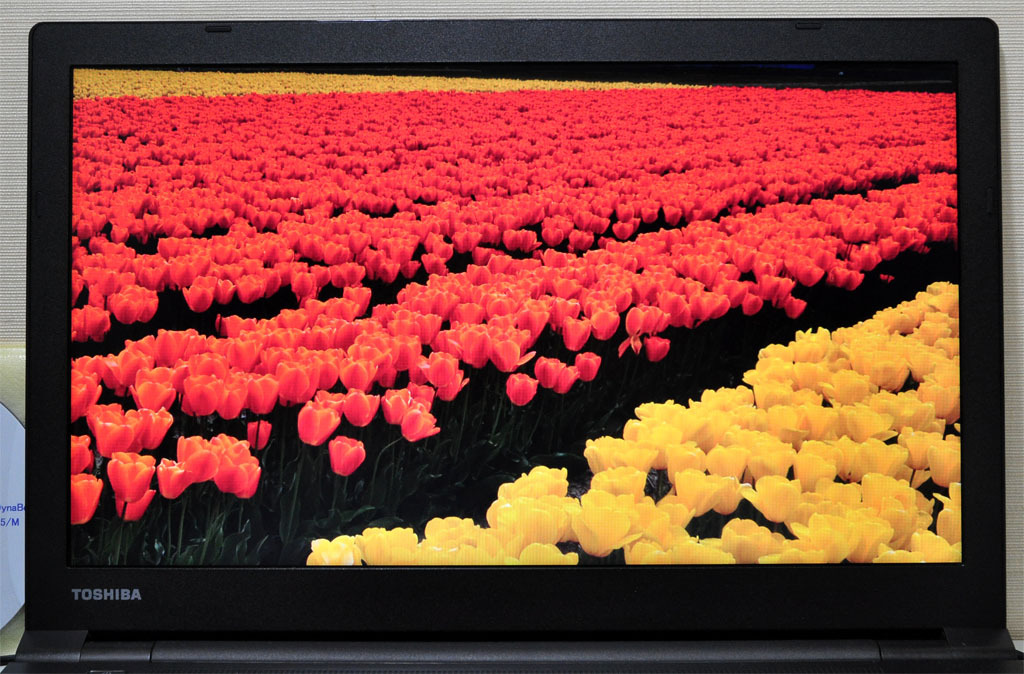 東芝 2019年製 第8世代i3 SSD256GB メモリ8GB 13.3インチ 低価