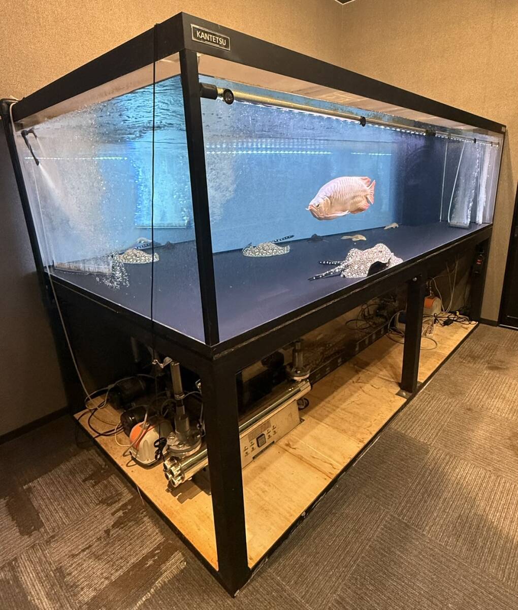 カンテツ水槽セット