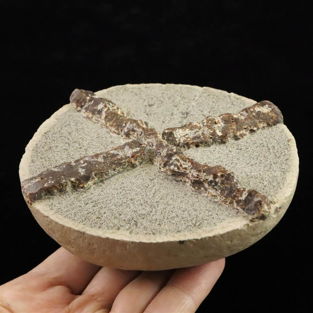 ○【共箱付き】九谷焼 色絵 四季草花文 茶碗 在銘 茶道具 茶器 骨董 美