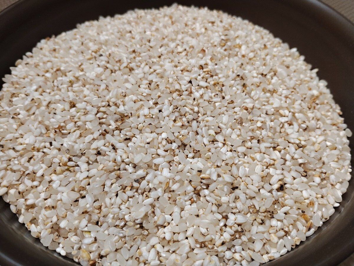 人気SALE，大得価 【処分】くず米20キロ〈規制対象外〉～鳥のエサなど