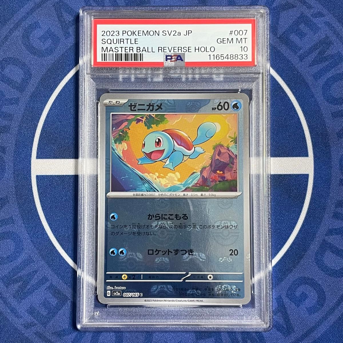 PSA10】AR フシギダネ・ヒトカゲ・ゼニガメ【3連番】 【公式通販】