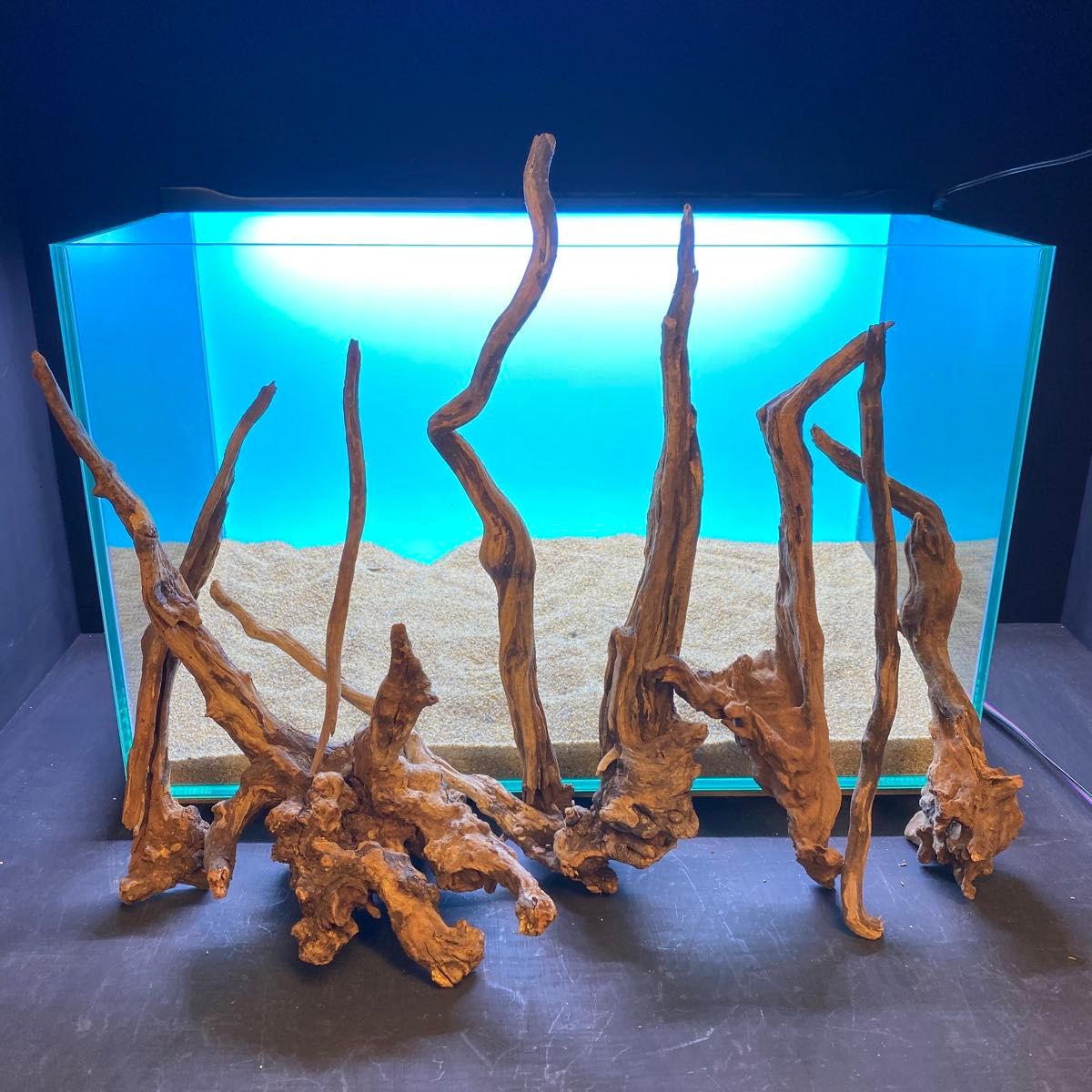 MSRW-6668天然流木 スリムウッド レイアウトセット アクアリウム