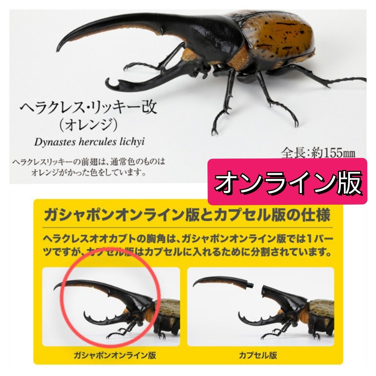 ヘラクレス・リッキー改（オレンジ） いきもの大図鑑 かぶとむし07