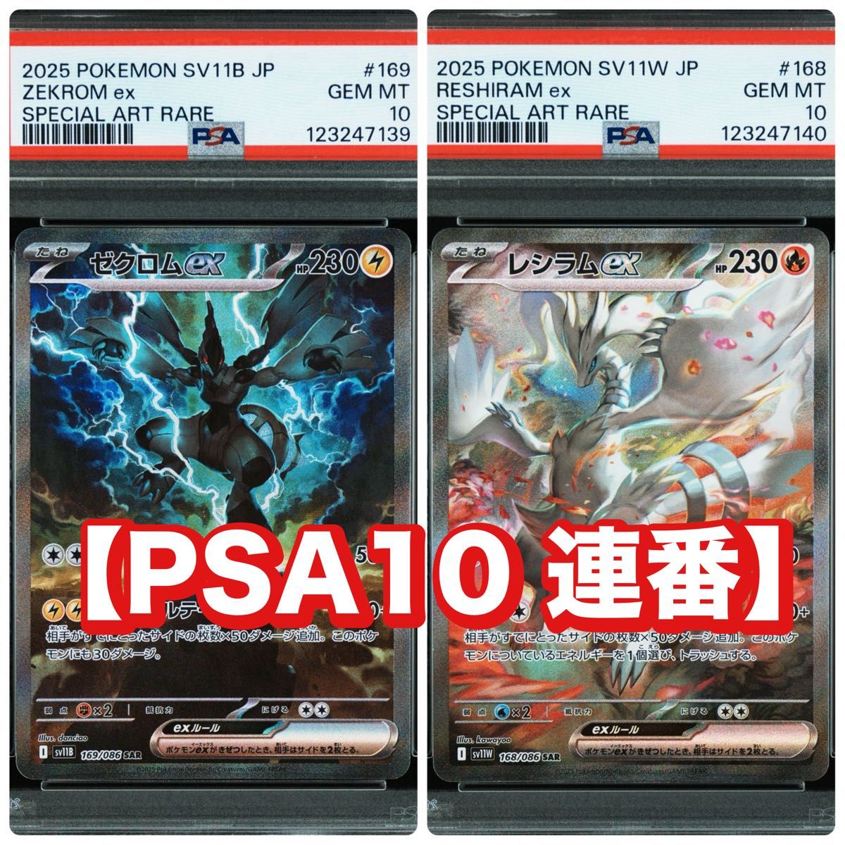 PSA10 】【ゼクロムex】【SAR】 完美品 鑑定品PKC-A2625M PSA10