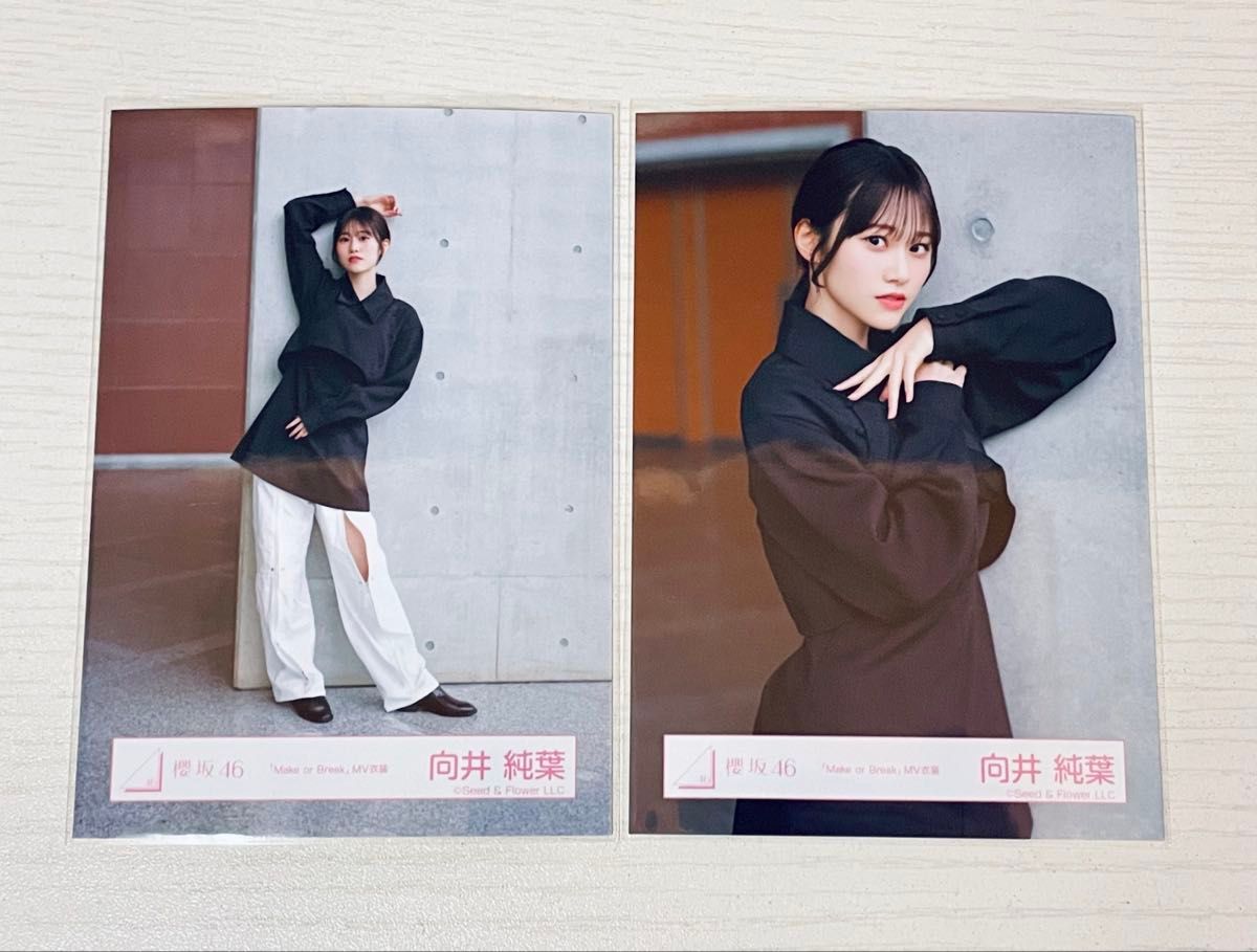 向井純葉 直筆サイン 三期生ブックレット衣装 ヒキ座り 向井純葉 直筆