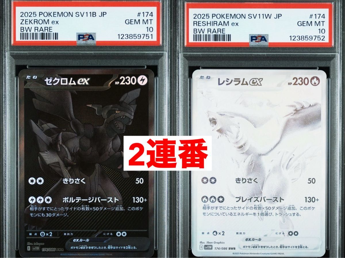 ゼクロムEX レシラムEX PSA10 連番 PSA10 連番 ポケカ ゼクロムex
