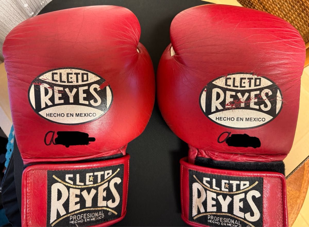 REYES（レイジェス）ボクシンググローブ 14oz マジックテープ式