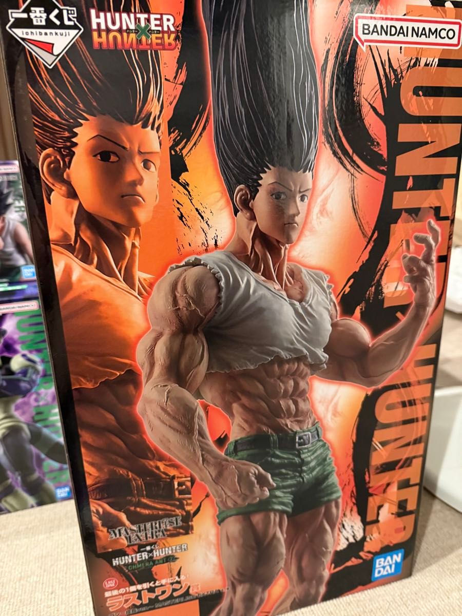 hunter×hunter 一番くじ ゴン ラストワン賞 購入 おまけ付き ぬ*ん様