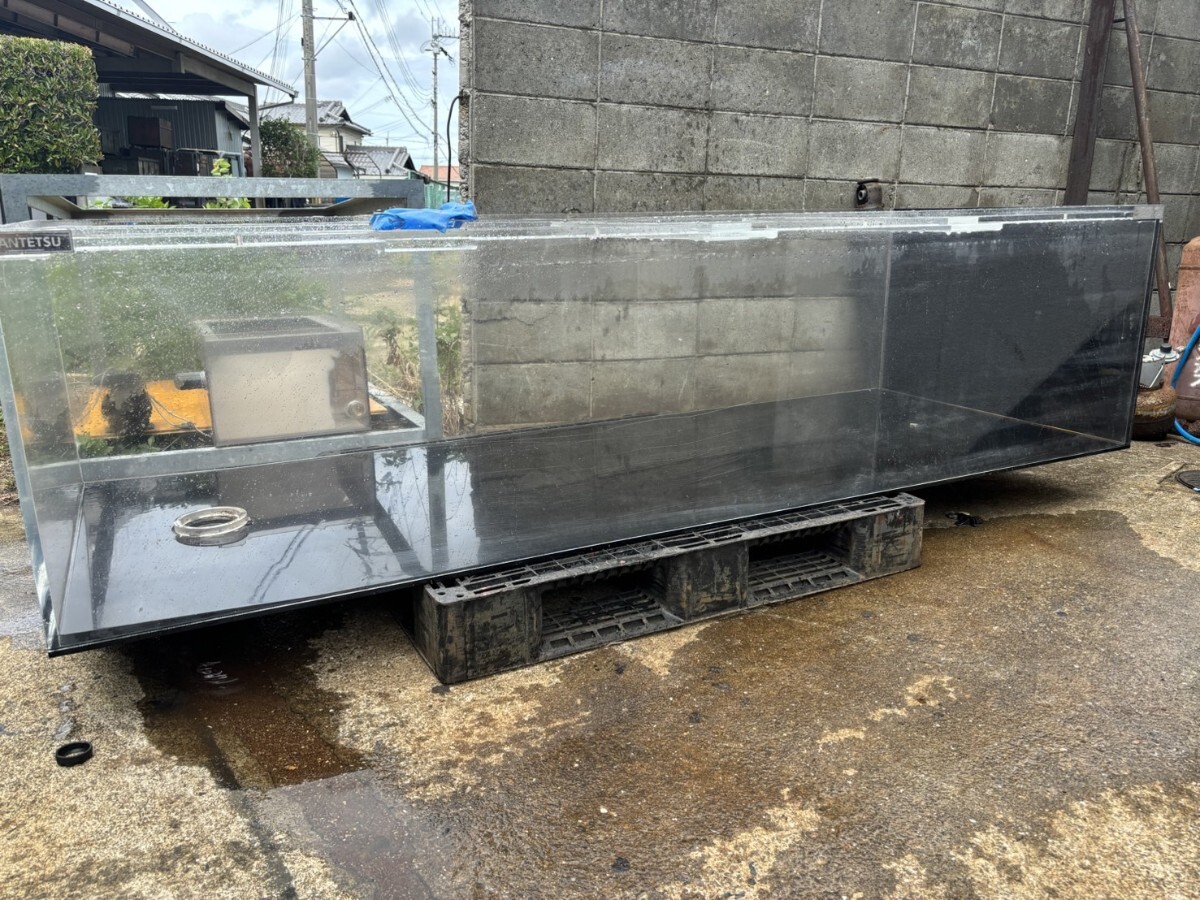 アクリル水槽 アクリル水槽 背面ブラック W1200 D600 H450 ワンオフ