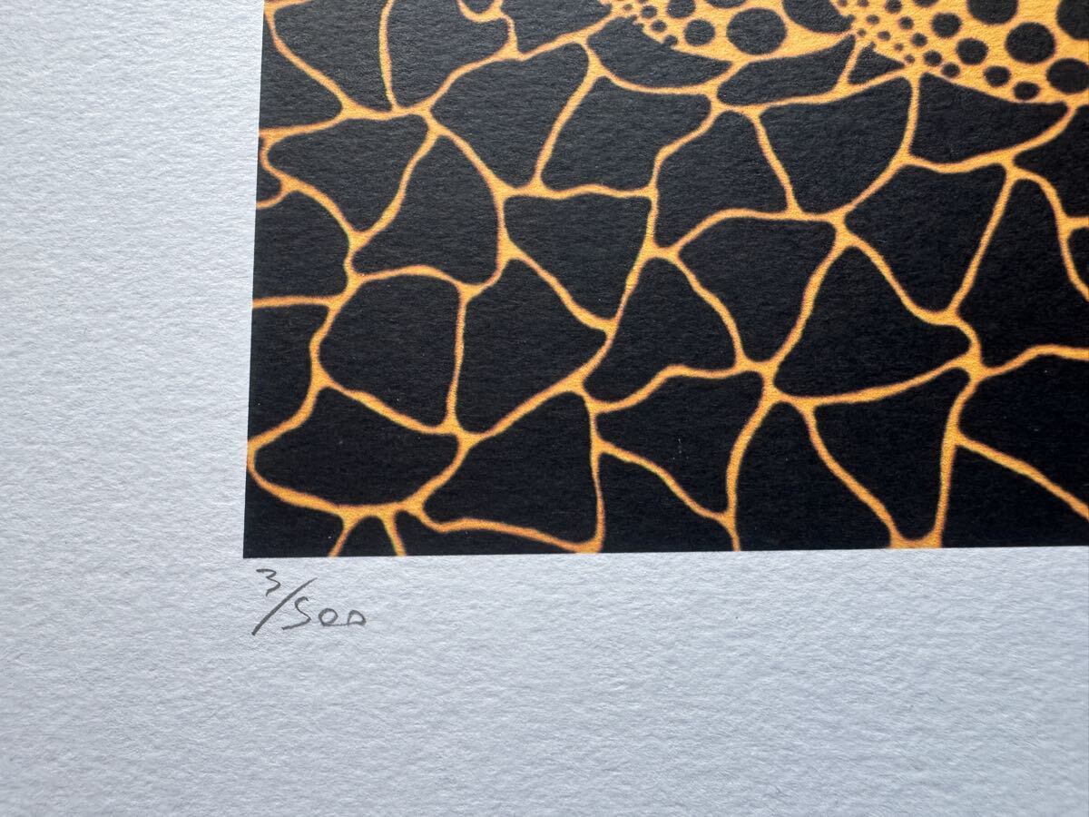 新作入荷，人気】 草間彌生 リトグラフ パンプキン /500部限定