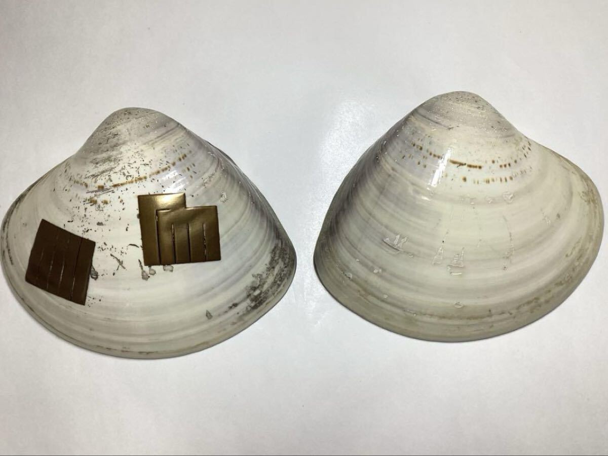 香合 蛤 源氏香 輪島塗 川原秀 木箱入 茶道具 古物品