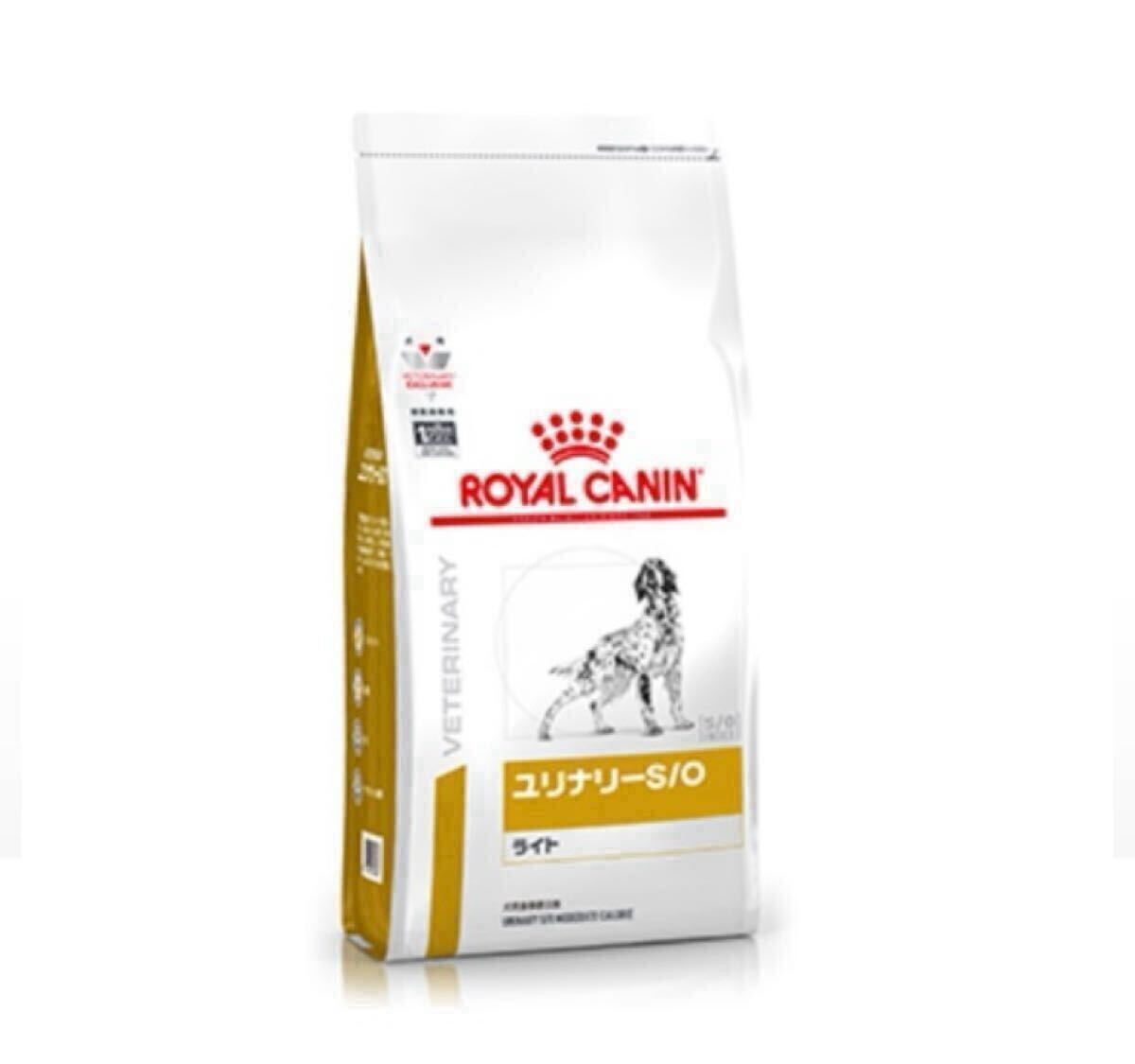 貴重 文部省式1型 初級滑空機 生写真 第二次大戦 プラモデル 模型 資料