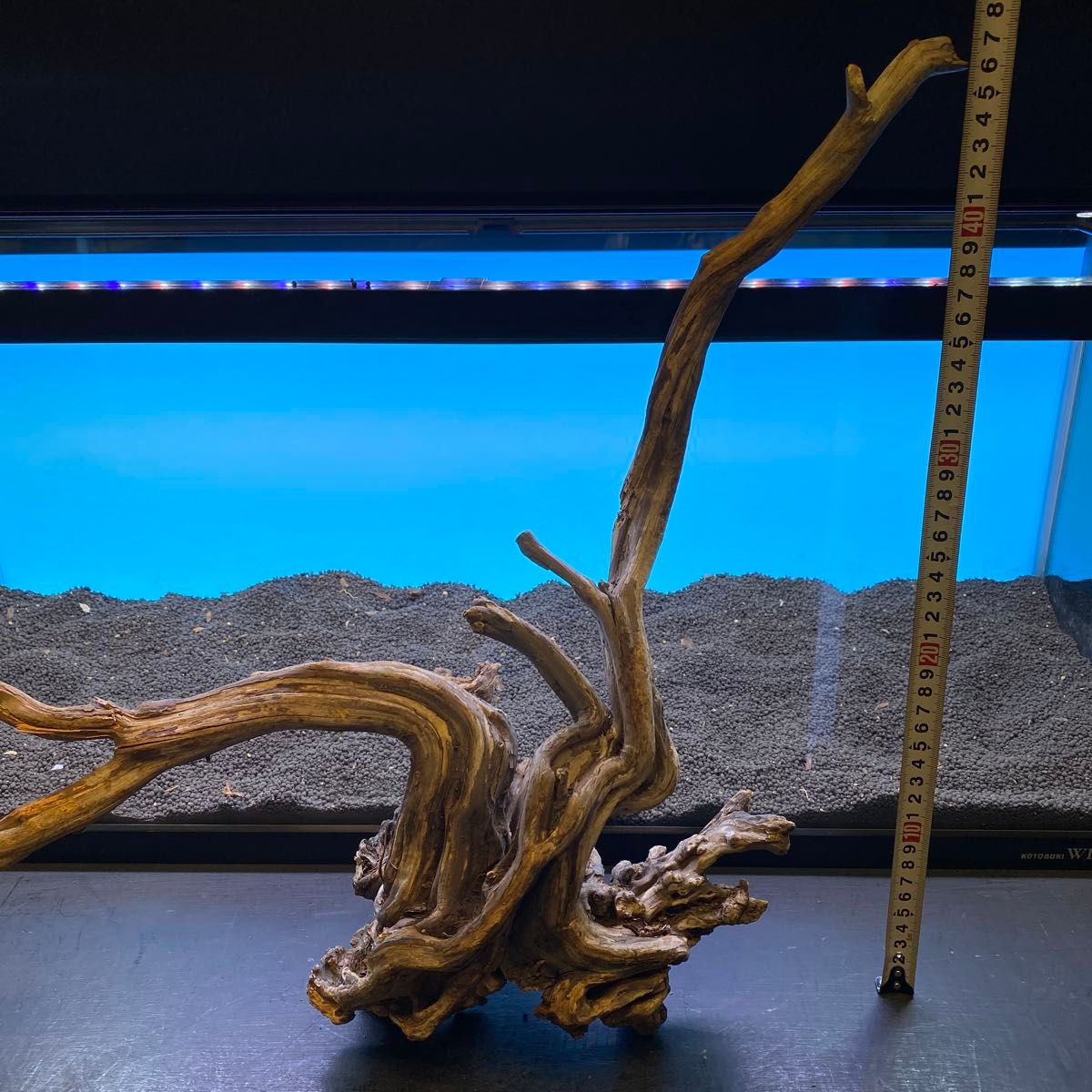 MSRW-6755天然流木1点物 スリムウッド 90cm水槽用 アクアリウム