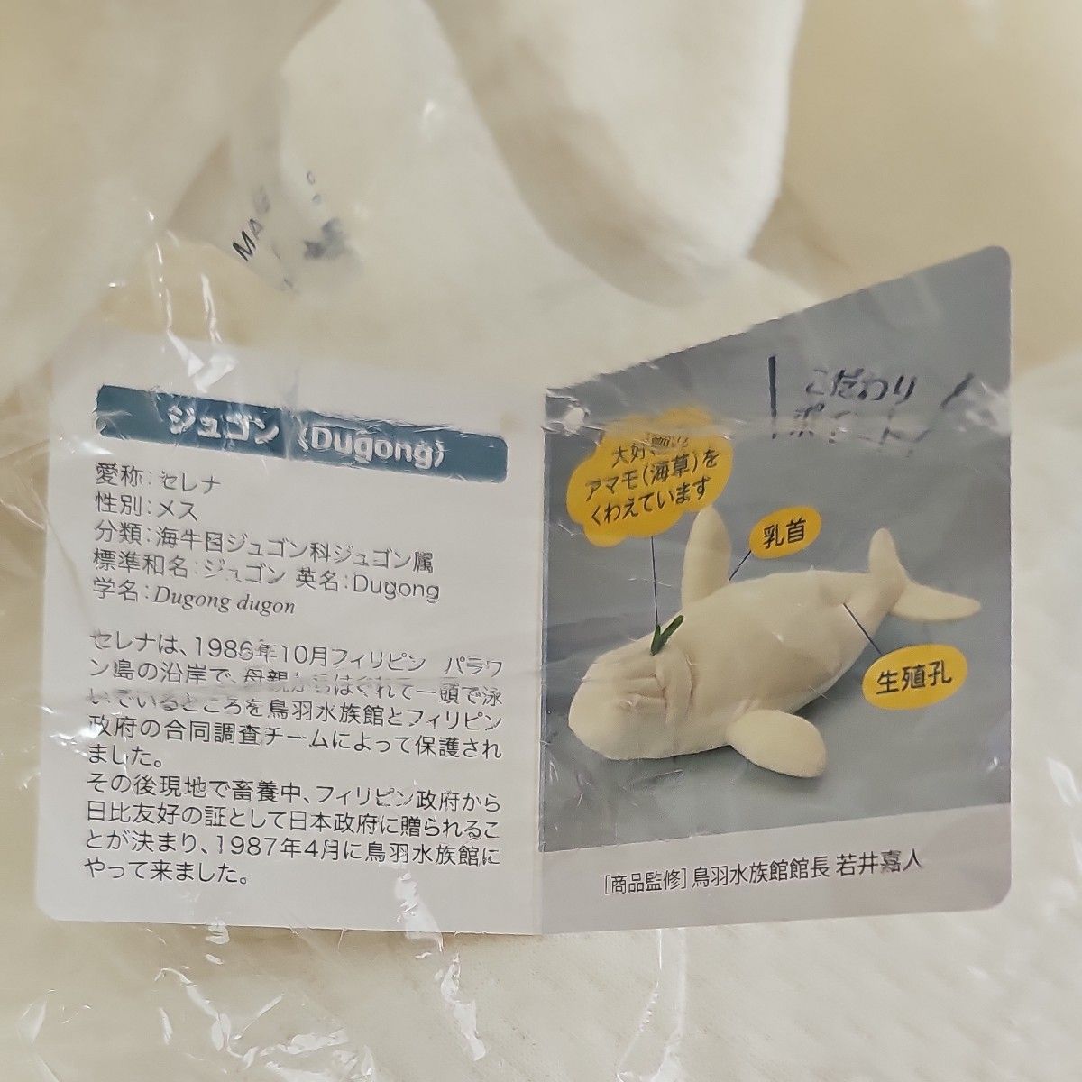 鳥羽水族館 70周年記念TOBA オンライン AQUARIUMコレクションカード 50