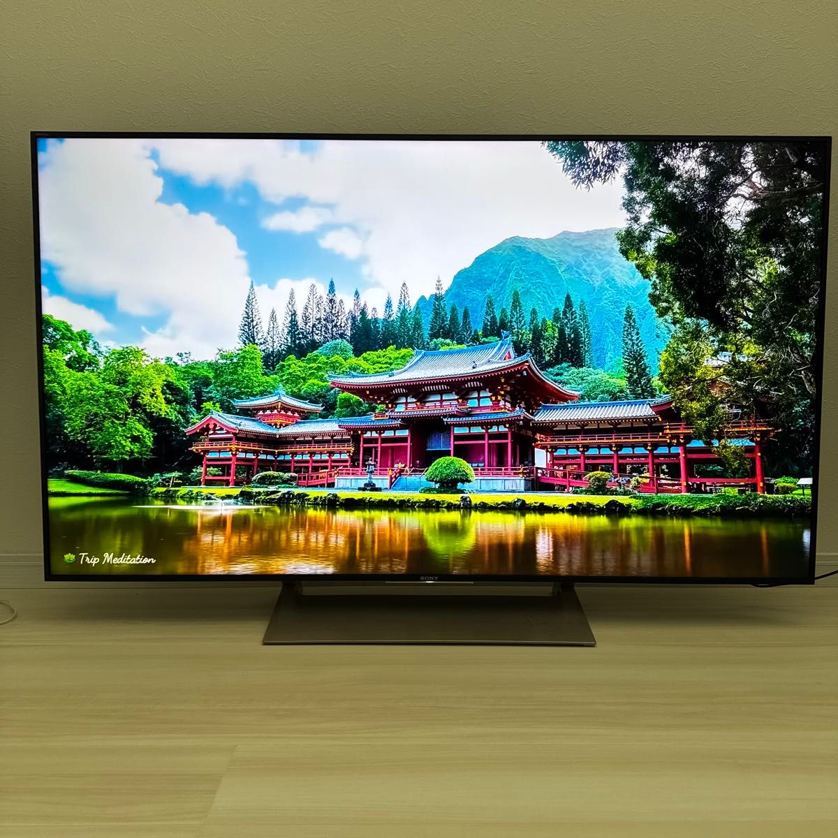 値下げ】 SONY ブラビア KJ-55X9000E 55インチ 【公式通販】