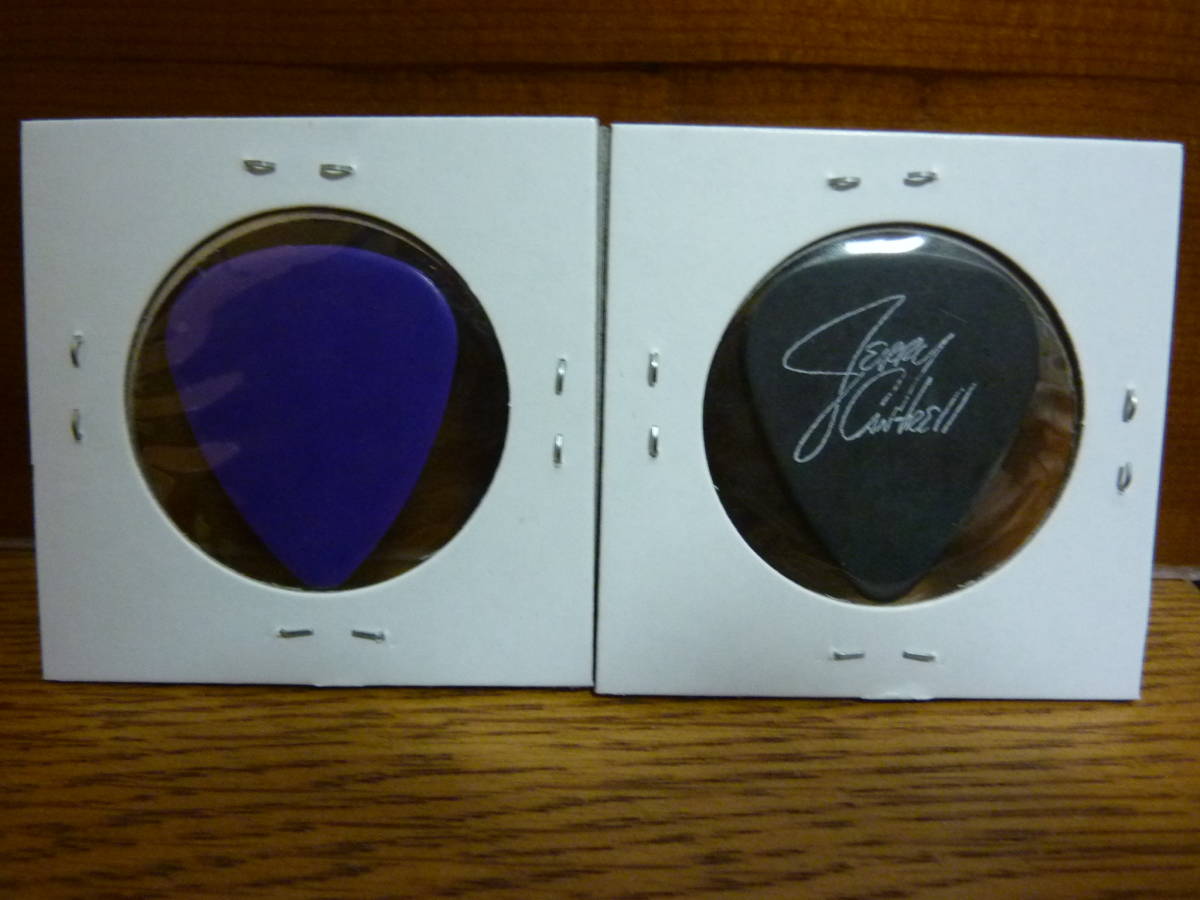 アリスインチェインズ(Alice In Chains)1993年初来日時レイン