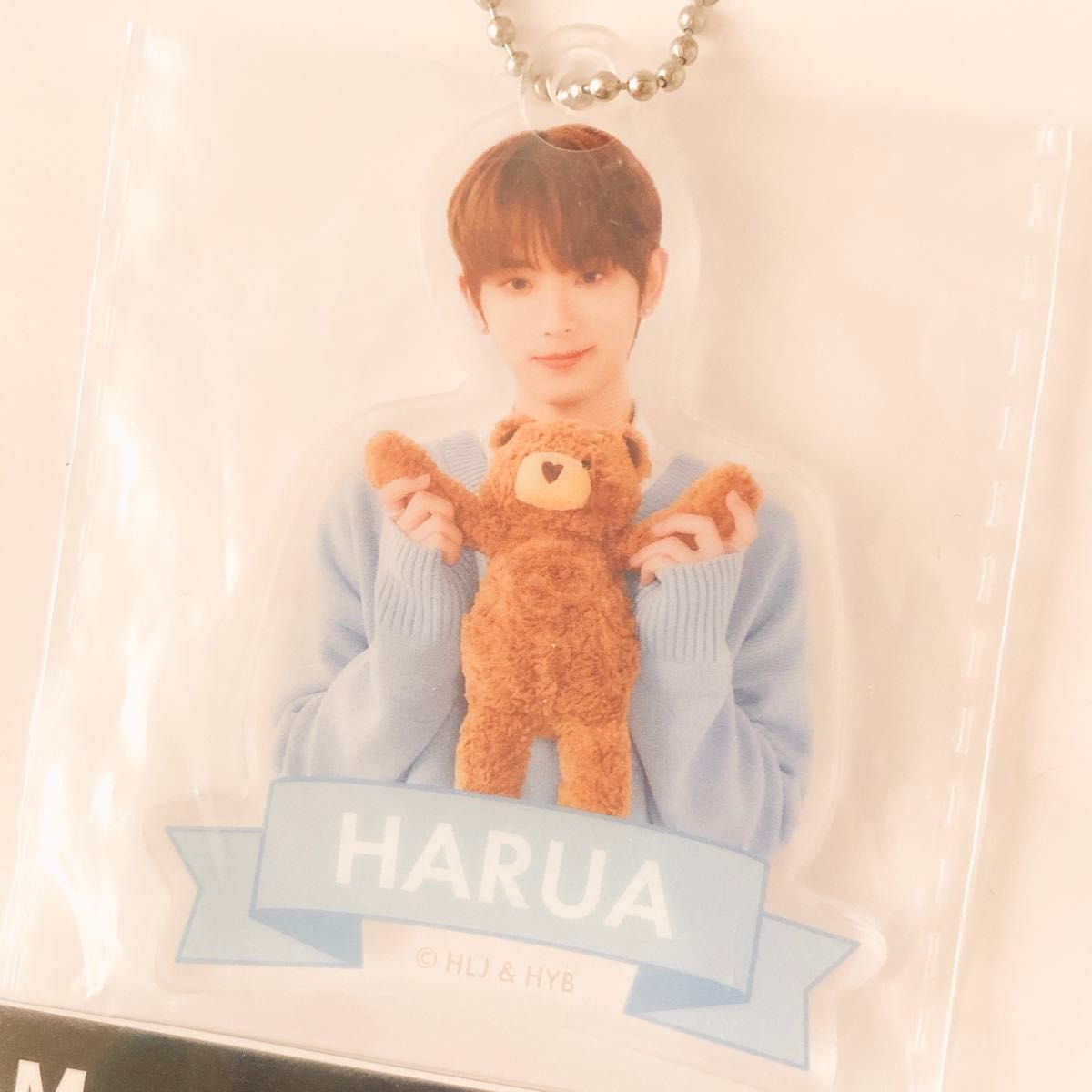 &TEAM アクリルキーチェーン HARUA ハルア Colorful アクキー 日本限定