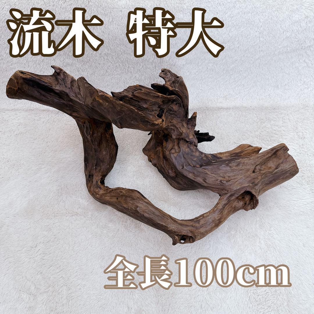 トップ 名古屋帯 両面かわり織り 格子 吉野間道 夏、単衣、袷オール