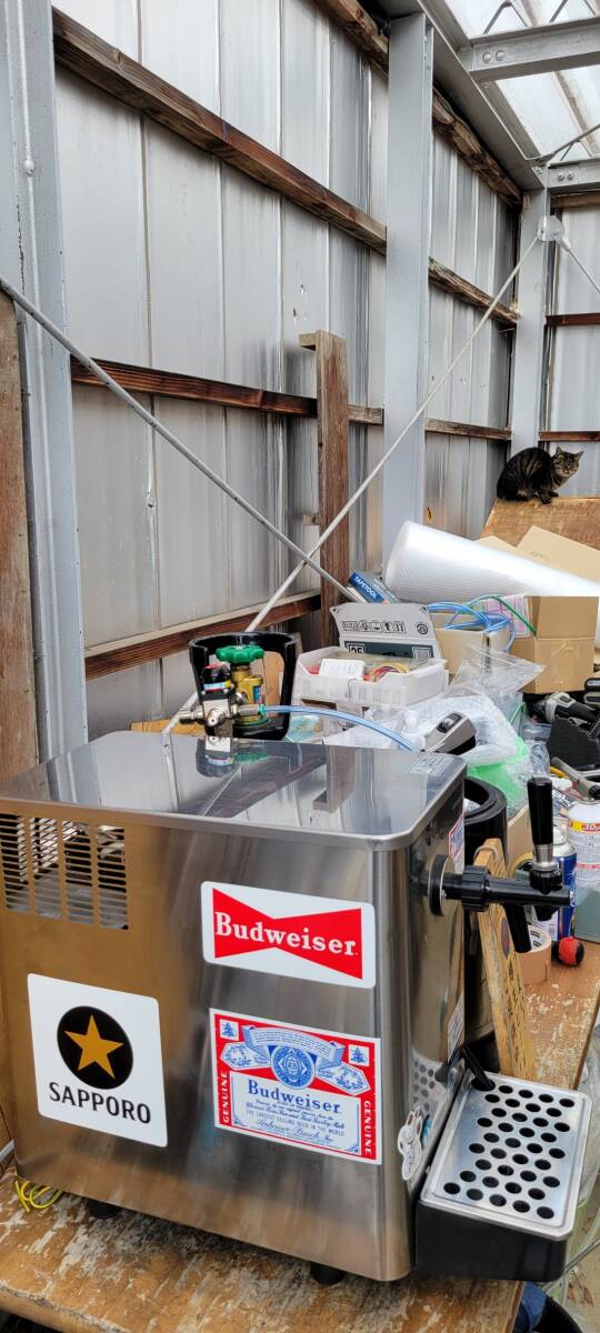 即使用可能ホシザキビールサーバーDBF-25SA2 洗浄樽セット 即使用OK