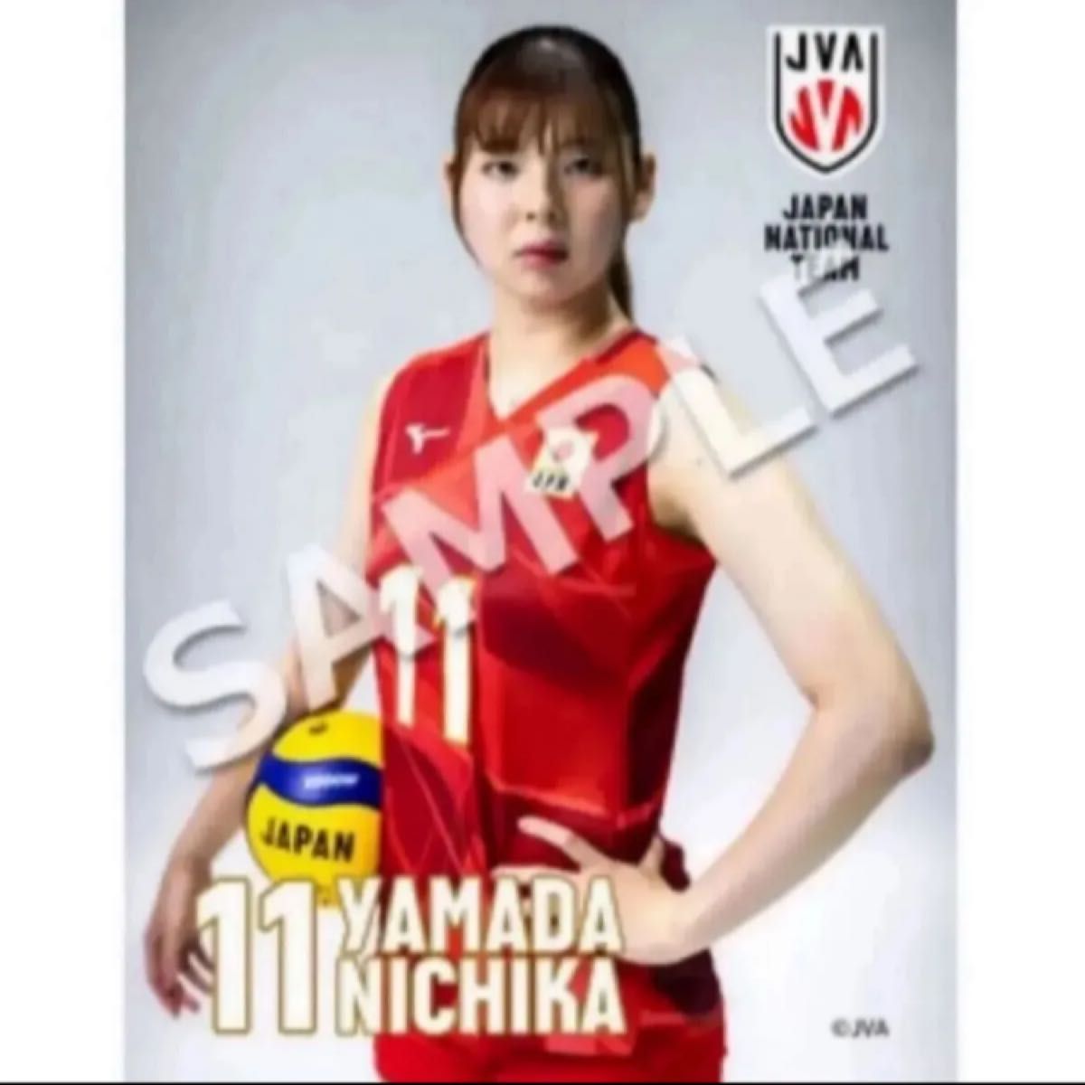 さがすずか ブロマイド 5枚セット 直筆サイン入り2枚 最終値下さが