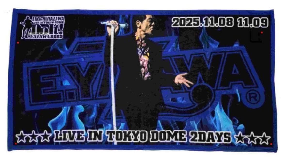 E.YAZAWA 2025 コンサートタオル E.YAZAWA 2025 コンサートタオル E