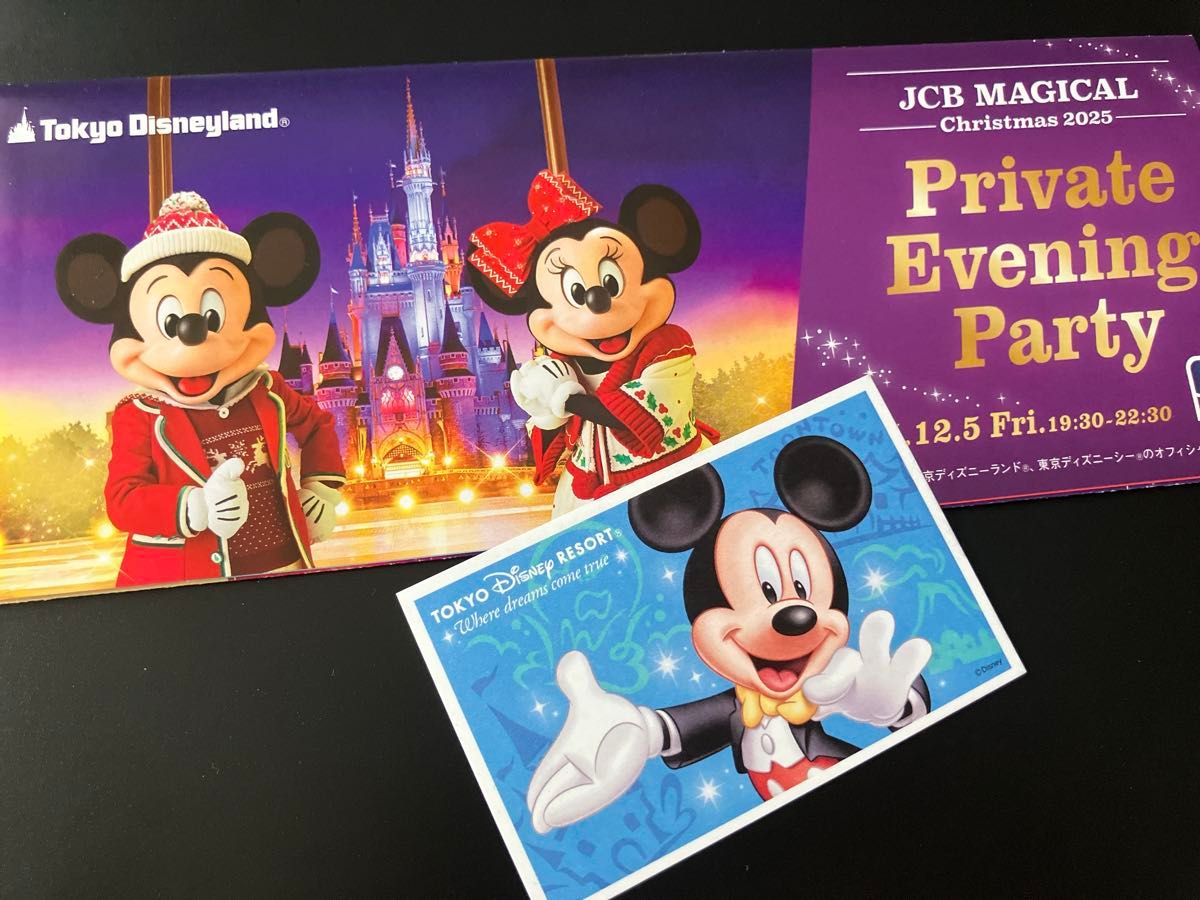 12月5日JCBマジカルクリスマス2025 貸切招待1名分 チケット パーク